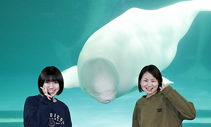 水族館探検プラン開催